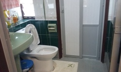 The Tanamera (D16), Condominium #167570092